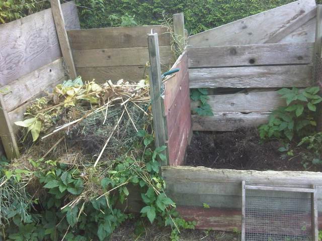compost bin
