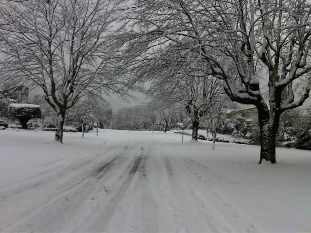 College Highroad, December 19