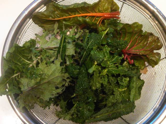 Winter chard and kale