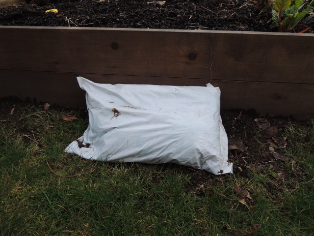 This is one of the last bags of manure left over from last year, blocking a rodent burrow.