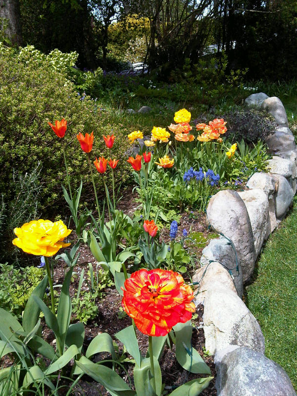 Cheese gardenin prime