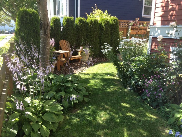 Pathway through front yard to vertical garden area- can see the pallet just to the top right