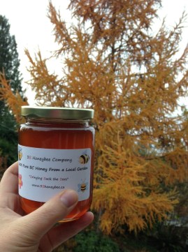 Kits/UBC honey. Fall larch in the background.