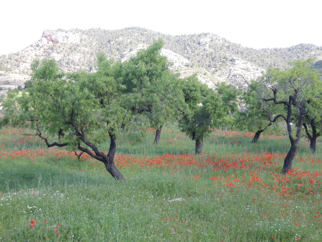 Spain and Paris 2013 267