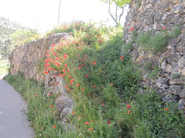 Spain and Paris 2013 270