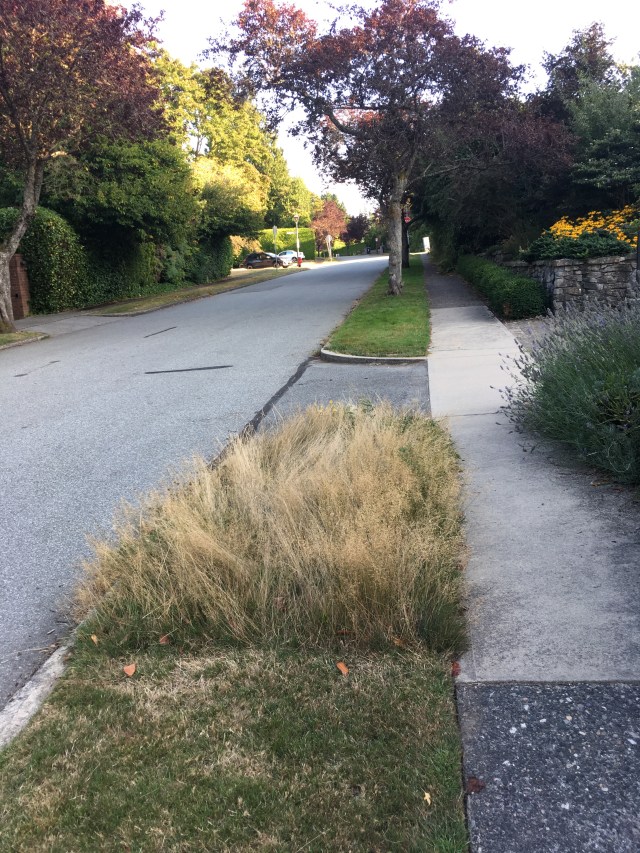 7BB22346-3297-4D57-A9D3-DDCB73A6B266